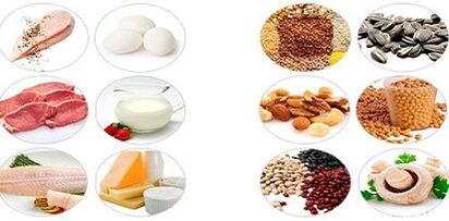 Iessen Proteinprodukter fir Gewiichtsverloscht